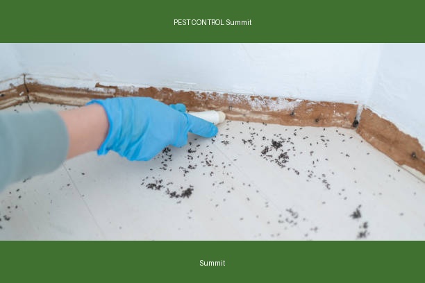 PEST CONTROL Summit